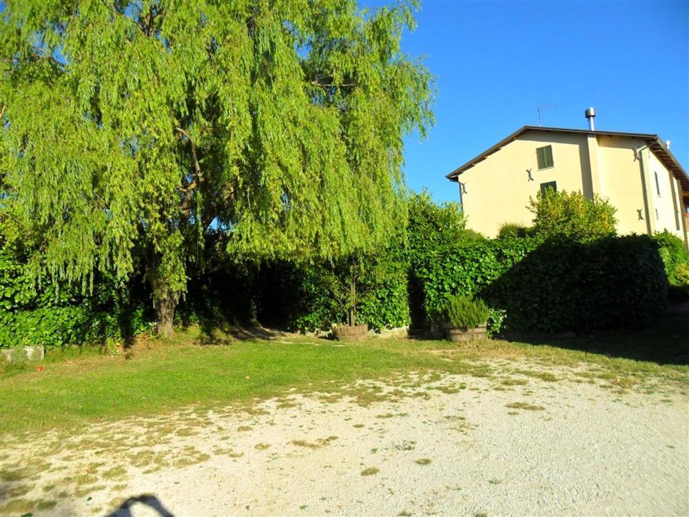 La Cinci Allegra Valfabbrica Exterior foto